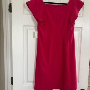 Lark & Ro Hot Pink Cap Sleeve Sheath Dress